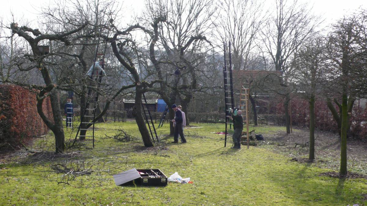onderhoud hoogstamboomgaarden hoogstamboomgaarden